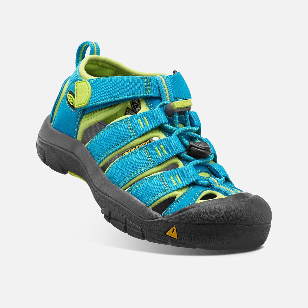 Keen Sandaal Kinderen Blauw/Groen - Newport H2 - 48065-UTEM